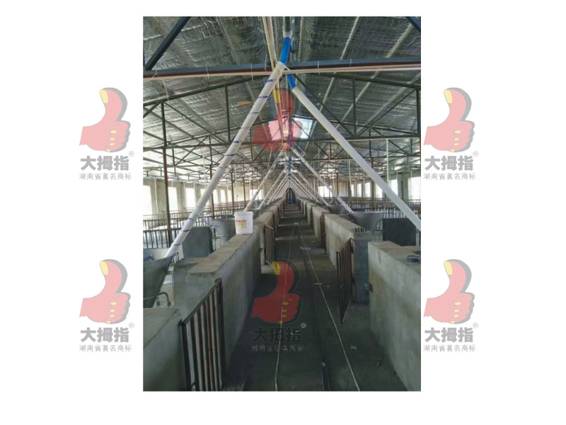 �i��(ch��ng)�Ԅ�(d��ng)�Ͼ��O(sh��)��